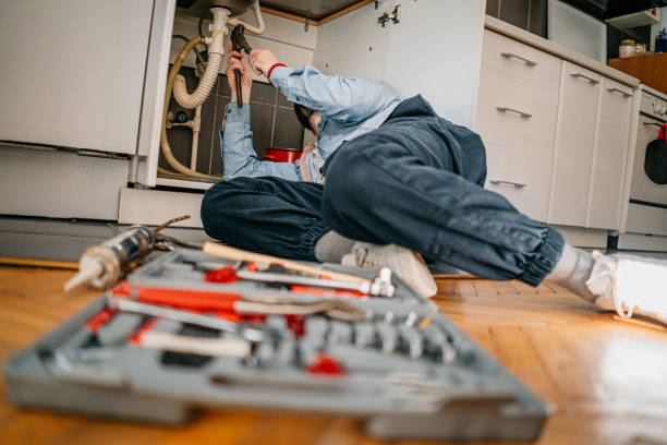 Best Plumbing Inspection Services  in Minneola, FL