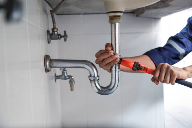 Best Sprinkler Systems  in Minneola, FL